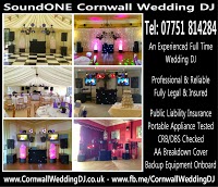 SoundONE Disco   Cornwalls Premier DJ and Video Disco 1060060 Image 9